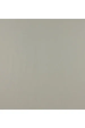 Dutch Wallcoverings Promo Delux Vliesbehang Uni Wit 7272-0 Flitsaanbieding